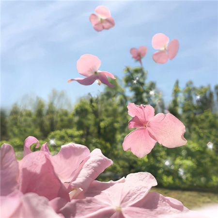 2024比较小众的朋友圈配图高清 惊艳有质感的配图合集