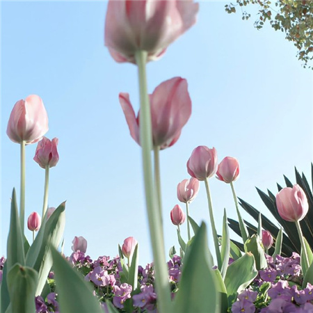 2024比较小众的朋友圈配图高清 惊艳有质感的配图合集