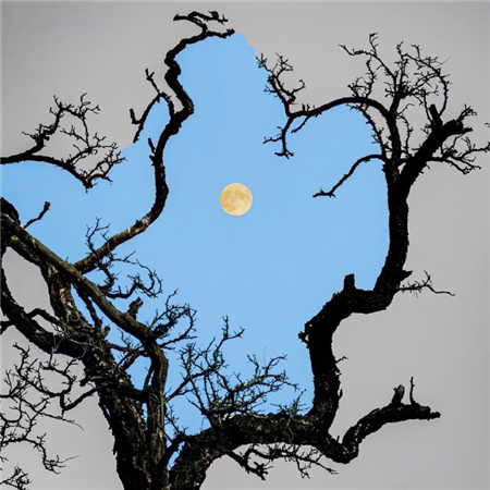 2024比较小众的朋友圈配图高清 惊艳有质感的配图合集