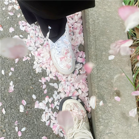 2024比较小众的朋友圈配图高清 惊艳有质感的配图合集