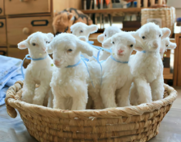 高级的微信状态签名洒脱 人人点赞的签名短句 高级的微信状态签名洒脱 人人点赞的签名短句