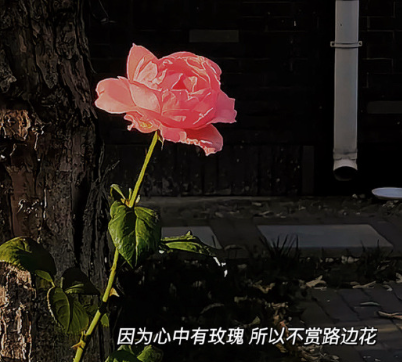 把烦心事丢掉提升自己的文案 丢掉烦恼的心情短句