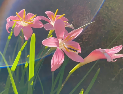 快乐旅行的文案简短 说走就走的旅行文案