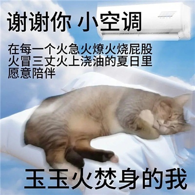 谢谢你系列发疯表情包 谢谢你小闹钟千薪万苦的生活