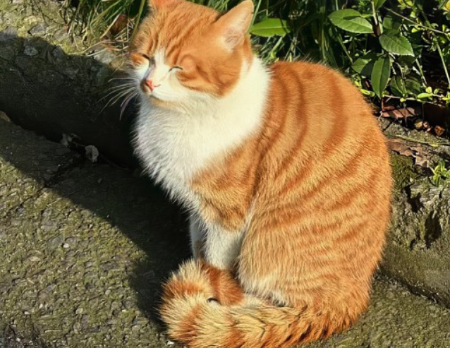 简短签名致自己个性好听 洒脱又很唯美的签名