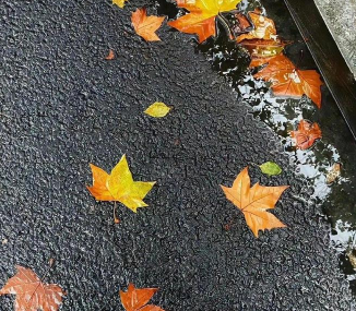 骨灰级的be美学语录 一眼破防的爱情语录