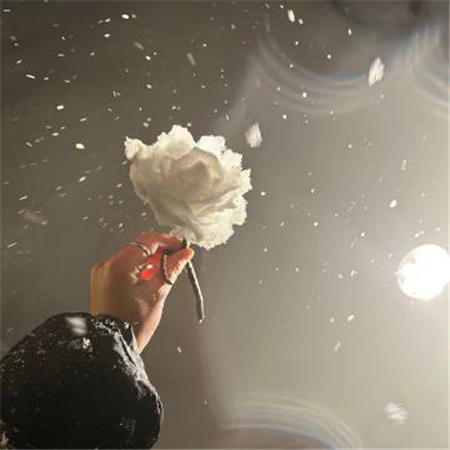 很大气又好看的氛围配图合集 生命力氛围背景图分享