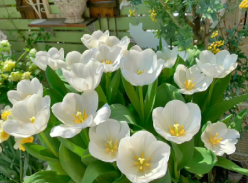 人间清醒的青春签名 关于青春和少年的个性签名