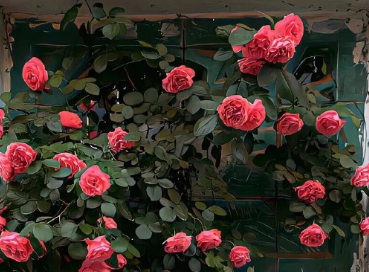 女人抖音名字简单气质 成熟女人涨粉的抖音昵称 女人抖音名字简单气质 成熟女人涨粉的抖音昵称