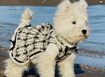 女人心累压力大的短句 一个女人无依无靠的伤感说说