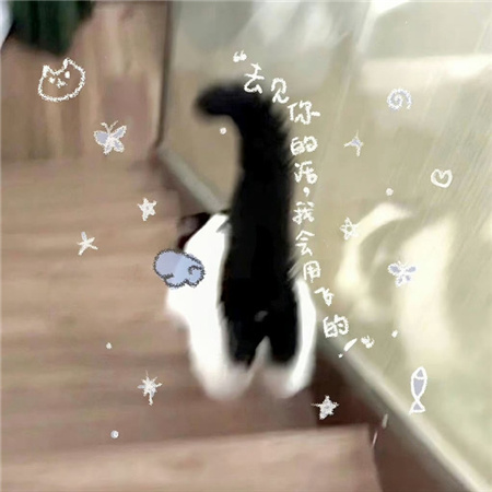 小众美的独特的配图 特别好看的ins配图