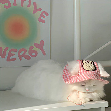 小众美的独特的配图 特别好看的ins配图