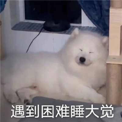 每天都会用到的很多快乐的表情 小猫猫坏心眼多着呢