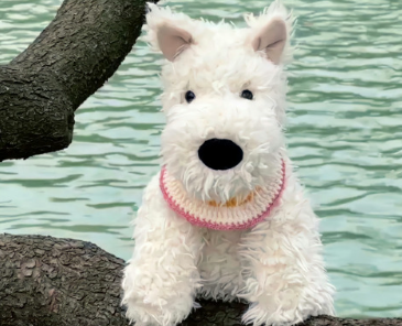 让你一眼就很喜欢的温柔浪漫文案 让人无法抗拒的好听语录