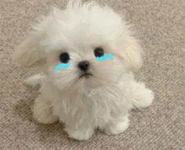 旧情复燃的心情说说 两个人重归于好的句子