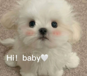 旧情复燃的心情说说 两个人重归于好的句子