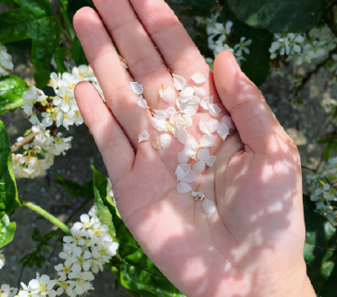 平平淡淡才是真的说说 余生只想平平淡淡的说说