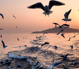 管好自己别瞎操心别人的事的说说 不要多管闲事的文案 管好自己别瞎操心别人的事的说说 不要多管闲事的文案