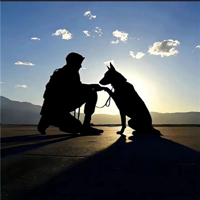 酷到没边的帅哥男头气质超魅力 2024很潮的男头超有魅力合集