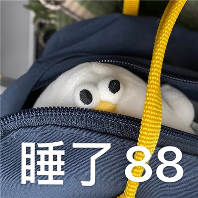 沙雕表情很拽很可爱聊天必备 很叼很霸气的表情合集