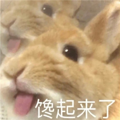 搞笑表情网上超火逗比 找什么画面呢弟弟