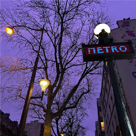 2024新版气质紫色配图高级无水印超美 妹妹说紫色很有韵味