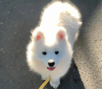 感叹入错行的句子 感叹人生选择错了的句子