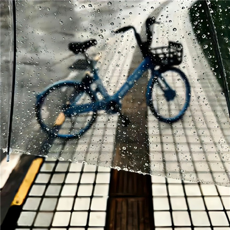 很绝治愈的干净配图大全 高雅超显气质的优质配图2024独一无二