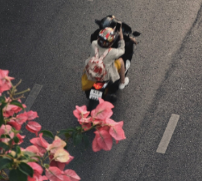 日常小美好的好心情好签名 让自己开心每一天的签名短句 日常小美好的好心情好签名 让自己开心每一天的签名短句