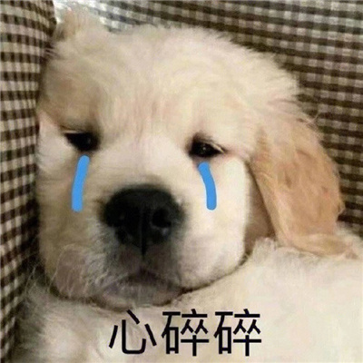 幽默高质量的无水印好用表情 一定不能错过表情好用