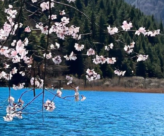 又到周末了开心的文案短句 周末愉悦放松的短句 又到周末了开心的文案短句 周末愉悦放松的短句