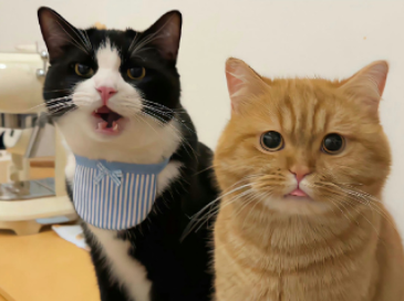 温暖至极的签名短句 越看越喜欢的戳心签名