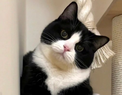 不烂大街高级小众日常签名 极简的小众签名短句