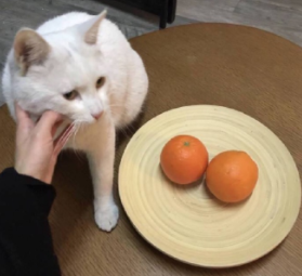 每次回家都是满载而归的说说 回家后备箱总是塞满的文案 每次回家都是满载而归的说说 回家后备箱总是塞满的文案