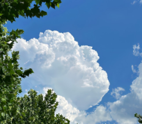 自嘲自己是恋爱脑的文案 调侃自己是恋爱脑的语录 自嘲自己是恋爱脑的文案 调侃自己是恋爱脑的语录