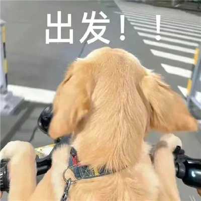 搞怪系列且超快乐的表情大全 你分手我分手我们迟早手牵手