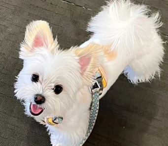 微信小众短句签名走心 很优雅的签名句句有魅力 微信小众短句签名走心 很优雅的签名句句有魅力