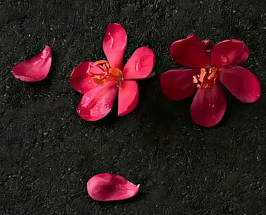 干净简短的高人气签名 一眼爱上的洒脱系的签名 干净简短的高人气签名 一眼爱上的洒脱系的签名