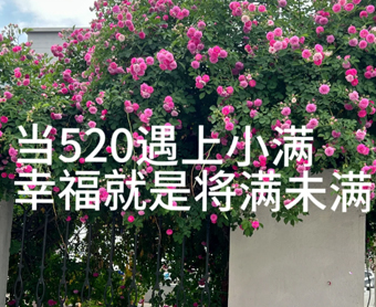520遇上小满节气的幸福文案 520遇到小满双倍甜蜜的文案