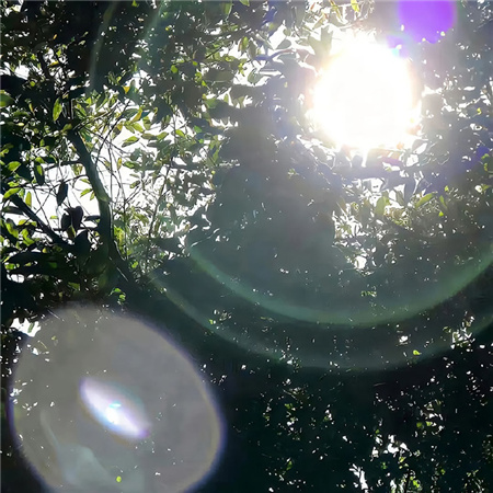 柔软光影配图高清无水印 柔软的光是我的早餐