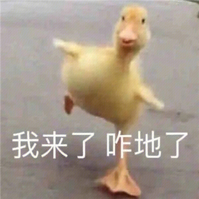 2024爱用的趣味表情超开心 都别吵了快打起来了