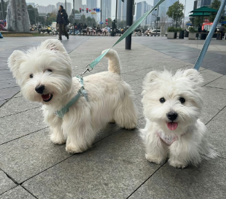 ​句句幸福快乐的美好签名 快乐不打烊的幸福签名