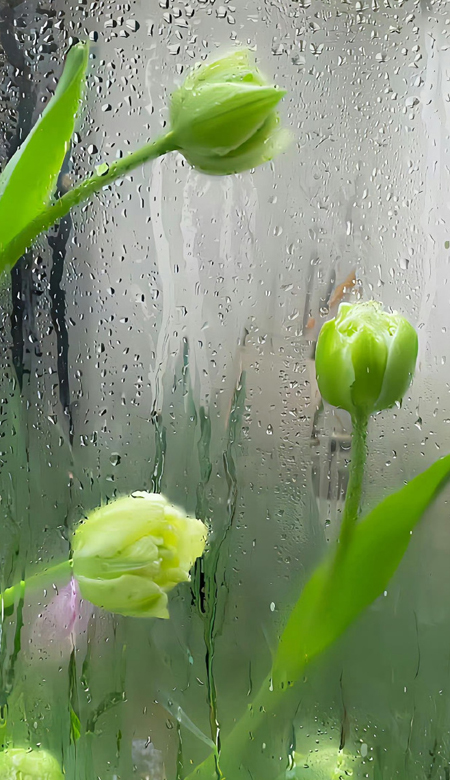 用上放松心情的壁纸很绝 一定要换上的新壁纸