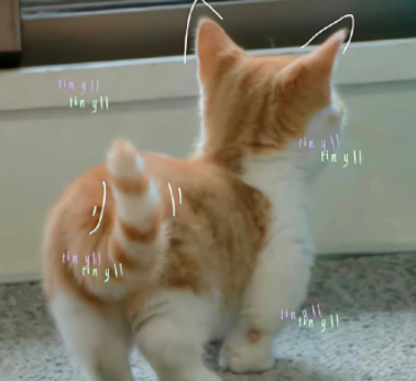 孩子成家立业父母完成任务的说说 孩子长大成家了父母心情短句 孩子成家立业父母完成任务的说说 孩子长大成家了父母心情短句