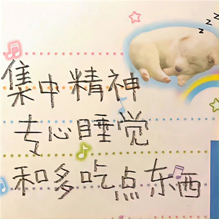 一眼就爱上的绝美配图高清 是我文案里的主角是我故事里的人