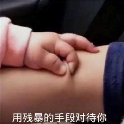 2024好玩系列的表情合集 好用又好玩超有意思的表情合集