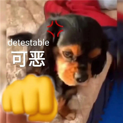 新版好用互联网嘴替表情 存上聊天超开心的表情合集