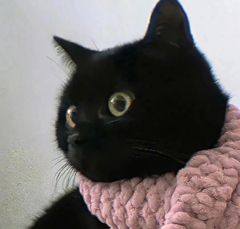 值得换上的好听签名 个性又倾心的签名 值得换上的好听签名 个性又倾心的签名