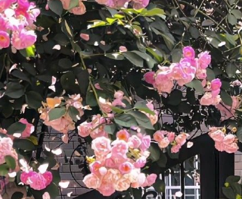 随心所欲无风格的朋友圈文案 自由日常好听的说说 随心所欲无风格的朋友圈文案 自由日常好听的说说