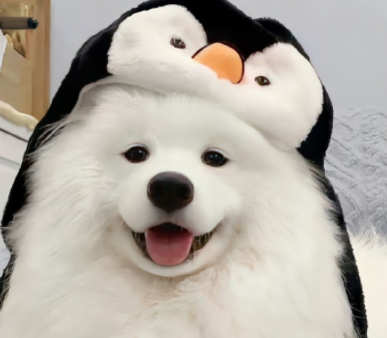 零碎晒美照的说说短句 很吸睛的魅力短句高质量